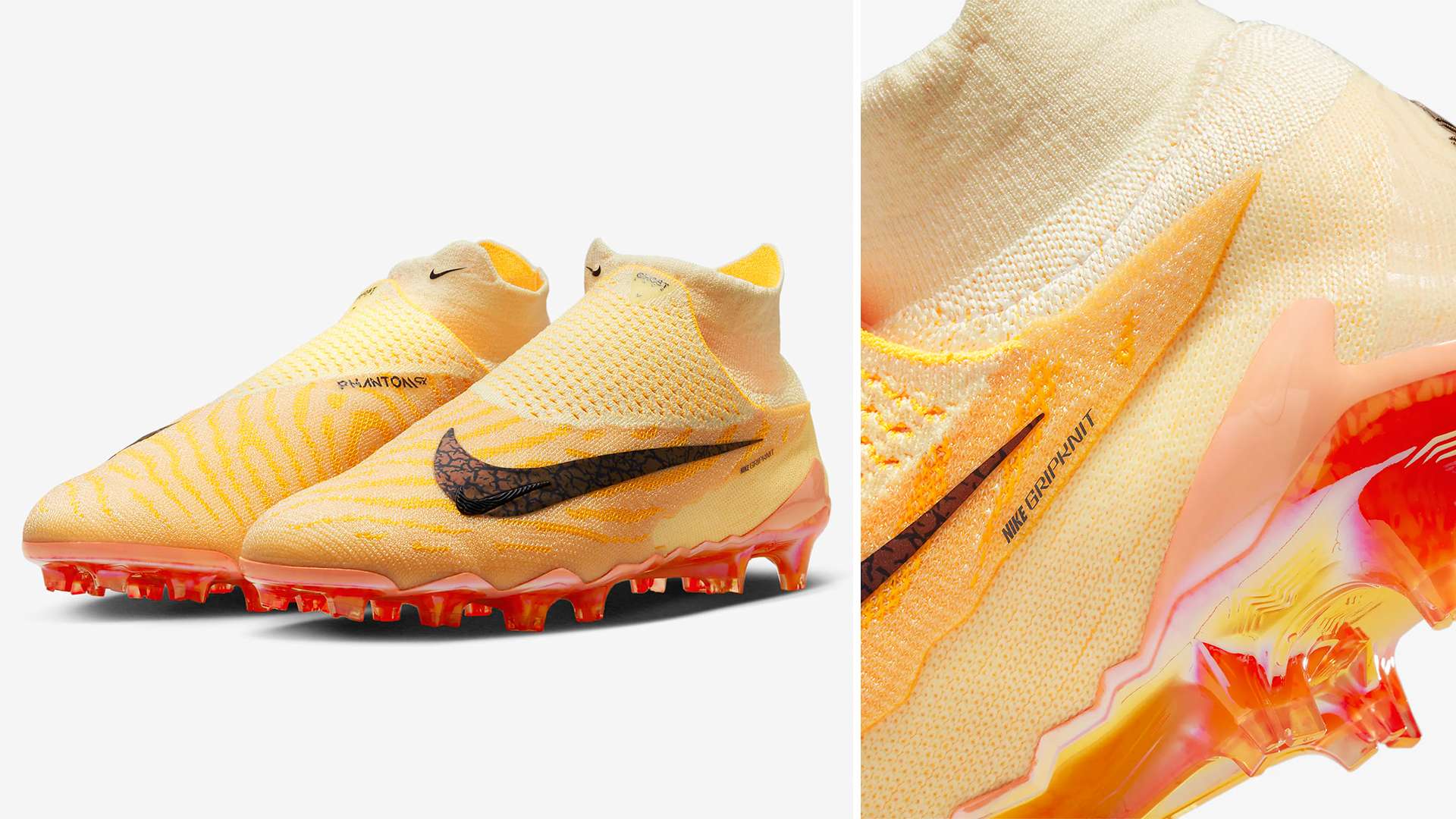 至可能導致 至可能導致