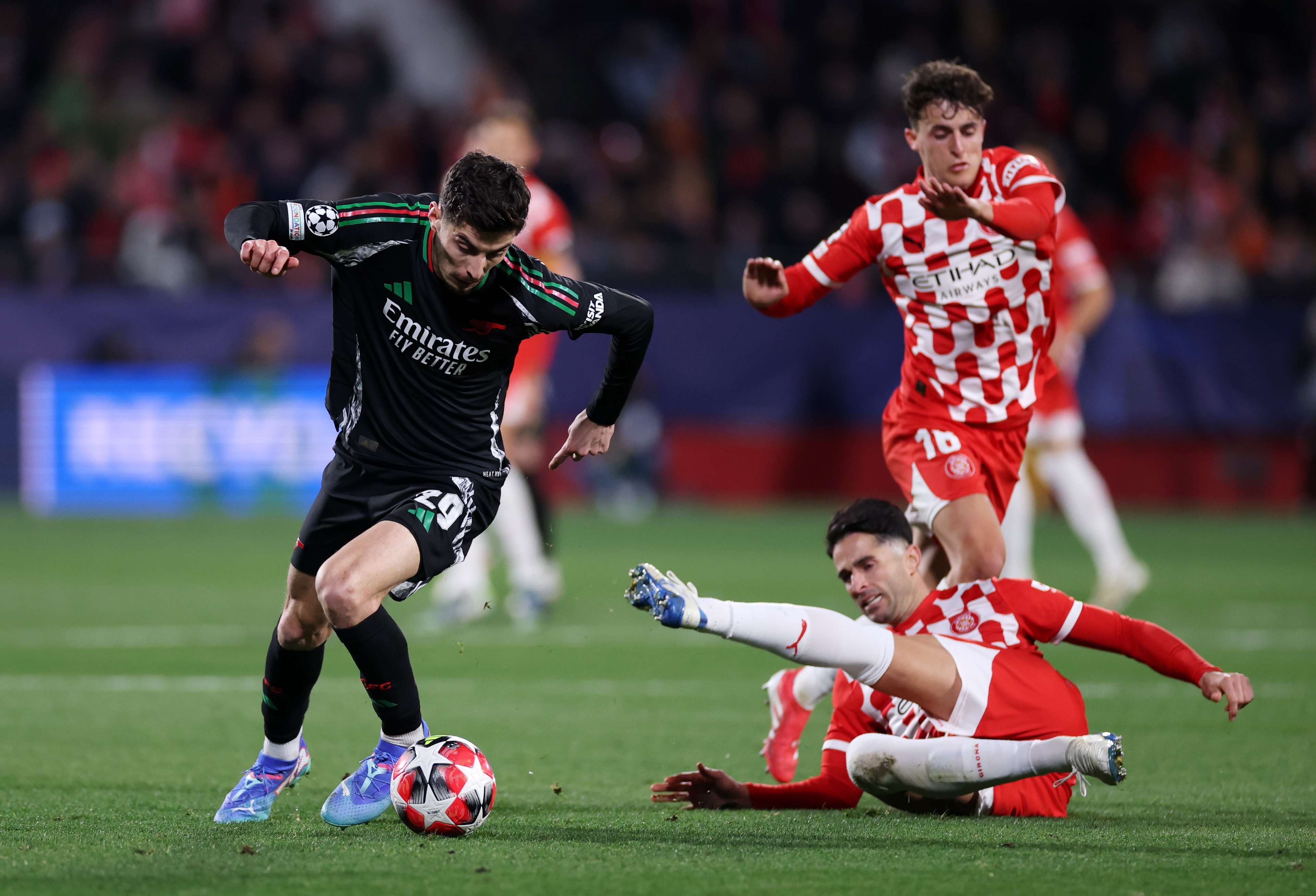 免后续情感 免后续情感